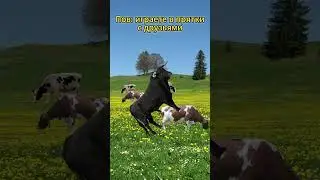 прятки с друзьями 