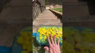 #СмехНаКаждомШагу #ЮморВидео #ПриколыДня #СмешныеМоменты #ВесельеСДрузьями #ШуткииПриколы #ЛучшиеПри