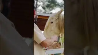 #horse