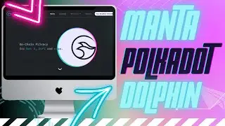 Обзор Manta Network - Платформа Приватности на Polkadot | Манта Нетворк | Dolphin Testnet