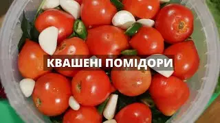Квашені помідори на зиму | Маринад для квашення помідорів | Консервація