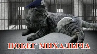 Побег Михалыча/ Hamster escapes the awesome maze for Pets in real life