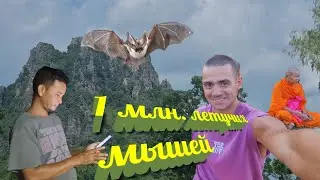 63. ПЕЩЕРА С 1 МЛН ЛЕТУЧИХ МЫШЕЙ