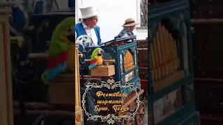 Шарманка_ Белый цилиндр (съёмка Нерсес Мирзоян) #music#streetorgan#oldmusic #retromusic#livemusic