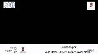 Misa en Honor al Cristo de la Viga