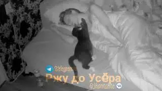 Не спать🤣