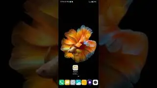 Upgrading from Global to Indonesian firmware on Redmi 9. First impressions.