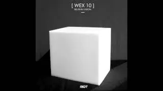 Riot023 - [ WEX 10 ] - Mac5 - Riot Recordings