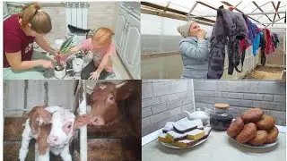 ЖИВЁМ КАК УМЕЕМ...🤰🐄🤗🙈🌼🐮🍁