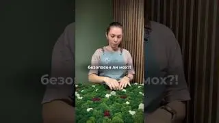 Не повторяйте это ✅