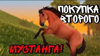ПОКУПКА СПИРИТА!|| второй мустанг|| Star Stable Online