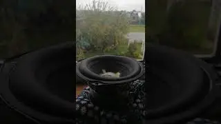 BLOWING SUBWOOFER #shorts