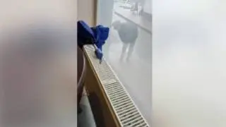 Policajt robí trieslu !!!