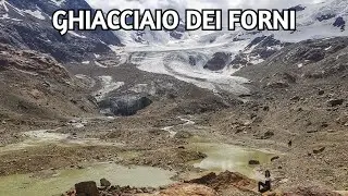Glaciological Trail to Discover the Forni Glacier - Valfurva