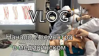 Expulsions after the first session | 2nd term in medical school