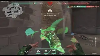 VALORANT - Skye 1vs4 clutch