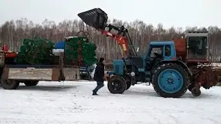 Обновление в хозяйстве. 15.11.2023.