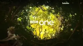 BBC 1 Magical Forest Ident