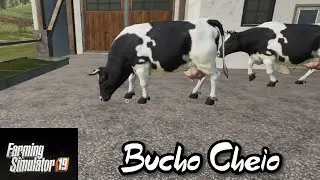 Farming240 #12 - Alimentando o gado - Farming Simulator 2019