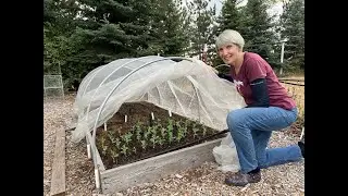 Plant Your Fall Crops! (2024) #32