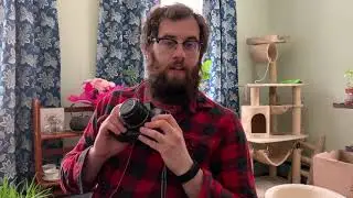 Short Canon 650 Review