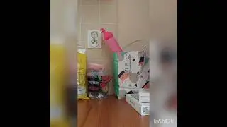 Обнова