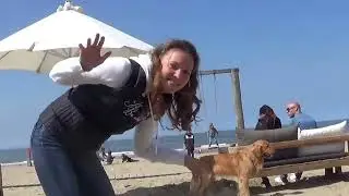 Пляж на Северном море.