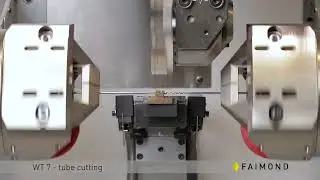 IT-GOLDTECH LLC - Faimond WT 7  553244909 cameraRoll