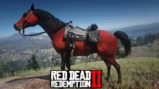 Red Arabian Horse locations - Red Dead Redemption 2 [Story mode]