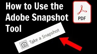 How to Use the Adobe PDF Snapshot Tool to Create Custom Assignments