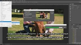 Come esportare tutti i fotogrammi di un video con Photoshop anche come animazione in GIF