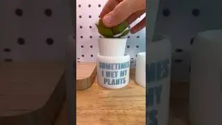 Funny Planters