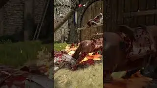 Typical Mordhau 