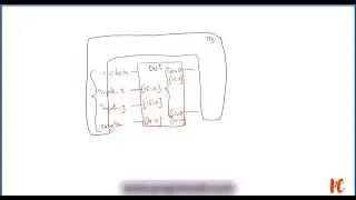 Best Videos