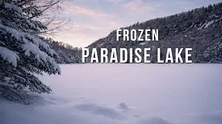 Alfred Kelly Winter Walk | Hidden Gem in Quebec, Canada 🇨🇦