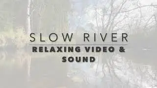 Floating River - Relaxing Video & Sound 🌊 - relaxing river, naturesounds, rivervideo and watersound