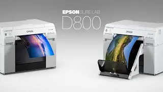 Suchy MiniLAB EPSON SureLab D800