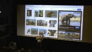 Strenghts AND weaknesses of Julia compared to Python. By Rik Huijzer