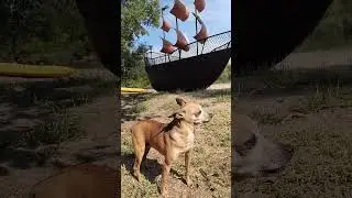 НЕ ХОЧУ БЕЗ ТЕБЯ!