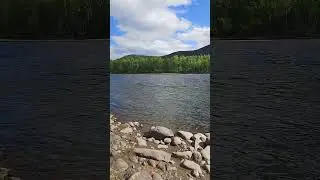 5 июня 2024 г.