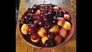 Как получить отсроченное удовольствие?