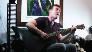 Robin Thicke - I'm An Animal (Acoustic Cover)