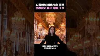 디올에서 베르사유 궁전 프라이빗 투어 해줌 ㄷㄷ #블랙핑크 #지수