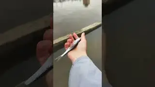 крупная 