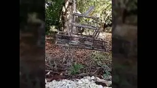 Pesca y canto de mi sirili