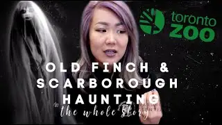 THE MOST HAUNTED PLACE IN TORONTO (tent lady, old finch road) etc | REAL stories