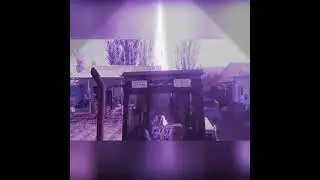 ОБЗОРЫ БЕЛАРУС ТРАКТОР 