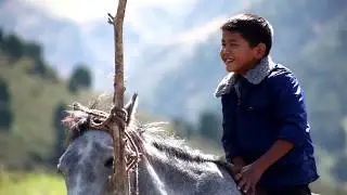 Документальный фильм 