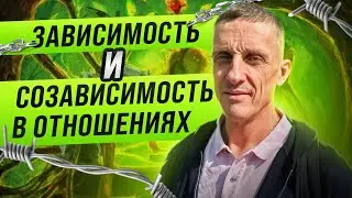Созависимость и зависимость в отношениях. Узнай есть ли у тебя это