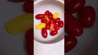 3colors of Tomato very sweet #shortsvideo #food #fruits #viralvideo #shortsviral